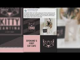 The atmosphere in each store has that local neighborhood edge that is sure to make anyone feel right at home. Kitty Cantina Cat Cafe Has Eyes On N Spokane Youtube