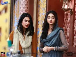 Pakistani actress sarah khan started her career in 2012 and has made a name for herself in the entertainment industry. Recently Photoshoot Of Handsome Sisters Sarah Khan And Noor Khan
