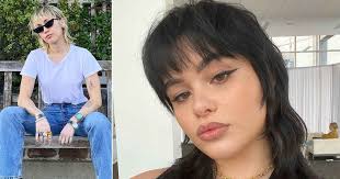 Celebrity Hair Changes of 2020: Haircuts, Hair Color, Extensions