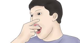 An excellent invention from the guys at camel. How To Use Snus 11 Steps With Pictures Wikihow