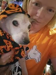 A client of ours found a medium-to-large, light brown, female dog