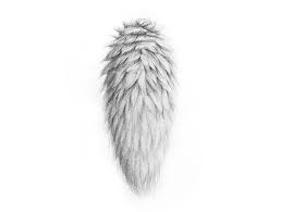 How To Use Machanical Pencil For Drawing Fur How To Draw Fur Realistic Drawings Drawings