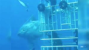 Search more hd transparent animated gif image on kindpng. They Didn T See It Beneath Them Final Chapter 12 Original Story Steemit