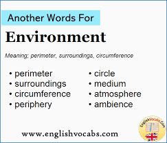 The air, water, and land in or on which people, animals, and plants live: Another Word For Environment What Is Another Word Environment English Vocabs