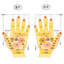 原因追及型のあなたへ 足つぼ ツボ 健康
