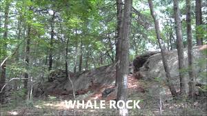 Rocky Woods The Trustees Of Reservation Rockywoods Trusteesofreservation Medfieldmassachusetts Walking In Nature Rocky Rhode Island