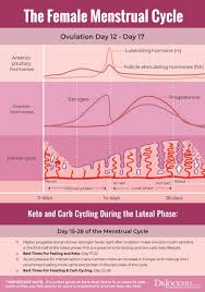 Menstrual Cycle Optimization With Feast Famine Cycling Drjockers Com In 2020 Menstrual Cycle Menstrual Keto Carb Cycling