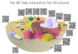 Nextlesson Qr Cell Structure Grade 5 7 Science Cells Teaching Biology Cell Structure