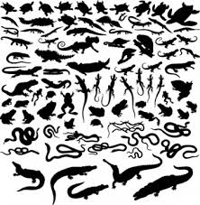 They have many seasonal and holiday designs as well, so it is the perfect place to get: Vector Reptiles Svg Free Vector Download 85 131 Free Vector For Commercial Use Format Ai Eps Cdr Svg Vector Illustration Graphic Art Design