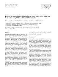 Evidence for multiplication of the leafhopper-borne maize yellow stripe  virus in its vector using ELISA and dot-blot hybridization