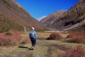 Manaslu Circuit Trek Solo: Is It Possible Without a Guide