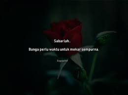 Ia memegang buket bunga biru yang indah. 50 Kata Kata Bunga Yang Mekar Dan Layu Pada Waktunya Sepositif