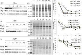 Geophysical research letters 36 (9). Pomocni Ironija Izgraditi Maskota Hershey Pusa Howpatientsthink Org