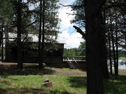 Geodesic domes rentals near bryant lake. Hawley Lake The C Cabins At Hawley Lake Arizona