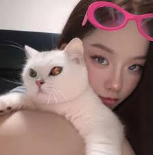 60 Vanessa Street Beverly Hill Does anyone know the group for this or how  to attend the soccer games here? Appreciate it!