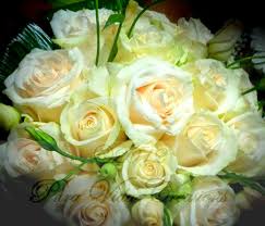 We did not find results for: Diy Ramo De Novia Redondo Y Compacto Hacer Ramo De Novia Ramo De Novia Ramos De Novia Originales