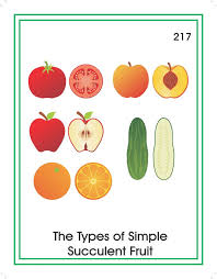 Montessori Research And Development Montessori Materials Teacher Manuals And Books Montessori Materials Classroom Material Teacher Manual