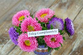 Dreamstime is the world`s largest stock photography community. Cumpleanos Feliz Happy Birthday In Spanish Card With Colorful Daisy Flower Bouquet Stock Photo Picture And Royalty Free Image Image 74090779