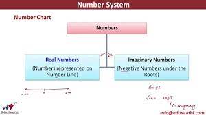 7th grade math ahhhh real math. Classification Of Numbers Number Chart Youtube