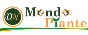 Vendita piante online su mondo piante: Mondo Piante Sviluppo E Commerce Vivaio Online Seo Digital Strategy