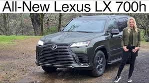 Image result for Nori Green 2025 LZ