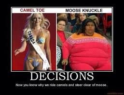 First of all, i'm so sorry for the noise, about the awful commentaires i was making. Hottchef A Twitteren Tmz That Ain T Camel Toe That Is Its Ugly Step Sister Moose Knuckle Http T Co 7gmywkcpio