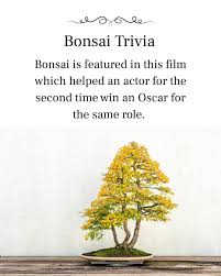 National Bonsai Foundation (@nbfbonsai) · Washington D.C., DC