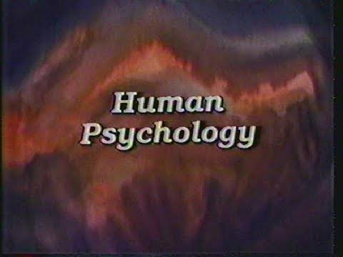 Human Psychology
