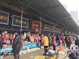 Image result for wuhan food market