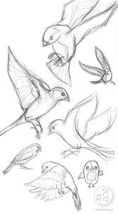 40 Free Easy Animal Sketch Drawing Ideas Inspiration Bird Drawings Animal Sketches Sketches