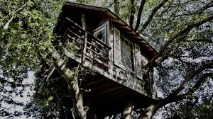 The lost boys tree house is a building purchased from the house of booty. Neverland S Captive Ouat Peter Pan Chapter 5 The Treehouse Wattpad