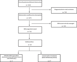 12 Factual Pathophysiology Of Cholelithiasis In Flow Chart