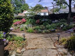 Growers of unusual and rare plants for nearly 50 years, located in the beautiful panhandle of florida Making A Secret Garden Finegardening