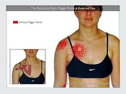 Pin On Pain Control Accurpreasure Reflexology Massage Body Part Exercises