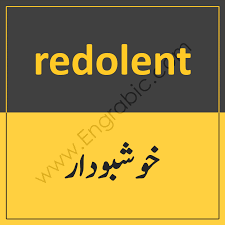 1000 Most Common English To Urdu Words Of Daily Use Pdf In 2020 Urdu Words English Words English To Urdu Dictionary