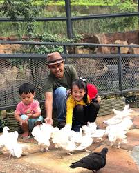 Desa pawenang, kecamatan nagrak sukabumi, cibadak, sukabumi, jawa barat, indonesia, 43356. Resort Keluarga Dan Taman Rekreasi Terlengkap Di Sukabumi Cuma 2 Jam Dari Jakarta Sparks Forest Adventure