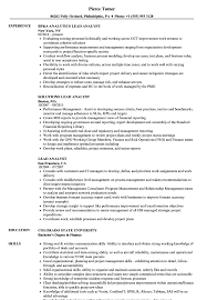 Lead Analyst Resume Samples Velvet Jobs
