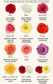 Colours are easily recognisable symbols for different feelings, and as a result tulips of those shades have come to many australian flowers are imbued with meaning from their use as medicine or ingredients by aboriginal tribes. Pin By Keti Herrera On All Things Gardening Rose Color Meanings Different Color Roses Rose Color
