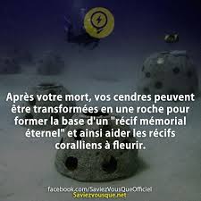 Tous Les Jours Decouvrez De Nouvelles Infos Pour Briller En Societe Fact Quotes Citations Humour Fun Facts