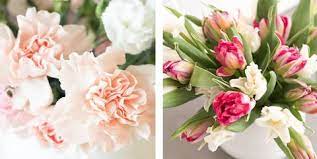 Maybe you would like to learn more about one of these? 7 Gorgeous Long Lasting Flowers The Best Long Lasting Cut Flowers
