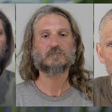 Pole problem gets man seen with saw arrested for criminal mischief