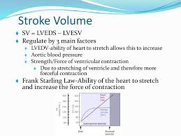 History and etymology for starling's law. Cardiovascular Dynamics Ppt Download