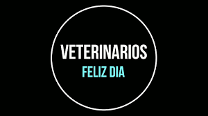 Hoy también se celebra el día del ingeniero agrónomo y de los trabajadores del sector agropecuario. 2021 Dia Del Veterinario Youtube