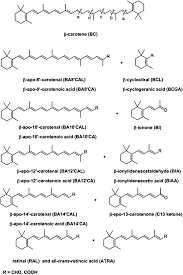 Alpha male by karyaseni2u (karyaseni | penulisan2u) with 22,507 reads. Carotenoid Metabolism In Mammals Including Man Formation Occurrence And Function Of Apocarotenoids Abstract Europe Pmc