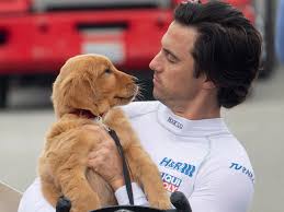 See what to expect when you choose this majestic breed. The Art Of Racing In The Rain Cast Includes Parker The Dog Also These Humans