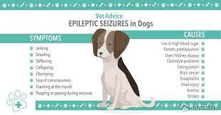Pin On Prana Pets Health Blog