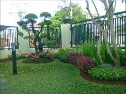 Silahkan hubungi kami jika ingin konsultasi. Jual Rumput Hias Taman Hidup Seperti Gajah Mini Atmago