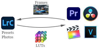 Here is a before image in which the lightroom basic adjustments have been set to the lightroom defaults and the white balance is using the as shot white balance setting. Export Lut Lut Generator John R Ellis Lightroom Plugins
