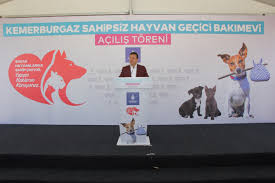 Haberler Veteriner Hizmetleri Mudurlugu