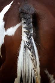 Now turn your horsehair braid to the inside of your skirt. Show Jumping Horse Braids Novocom Top